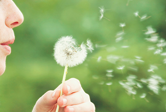 A photo of someone blowing a dandelion