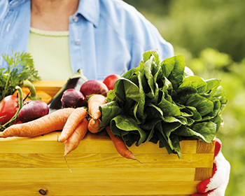 A photo of some organic foods